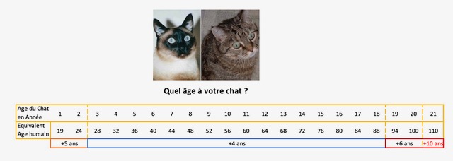 chat-age