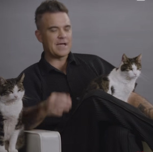 Robbie Williams 2 cats