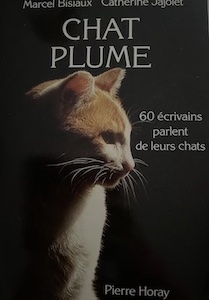 chat plume