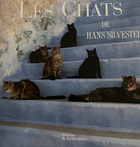 les chats silvester