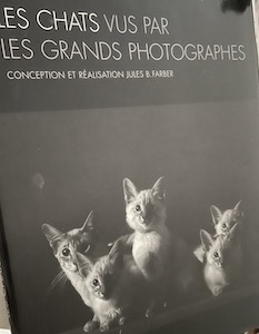 chats-grands-photographes