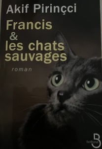 chats sauvages