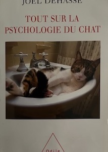 psychologie du chat
