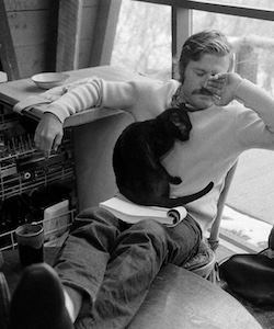 Robert Redford
