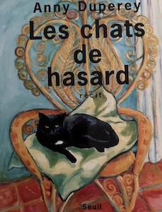 chats du hasard