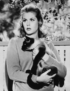 Elizabeth Montgomery